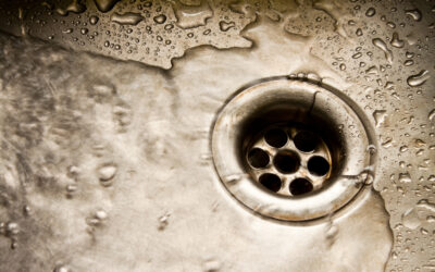 Preventing Drain Odors